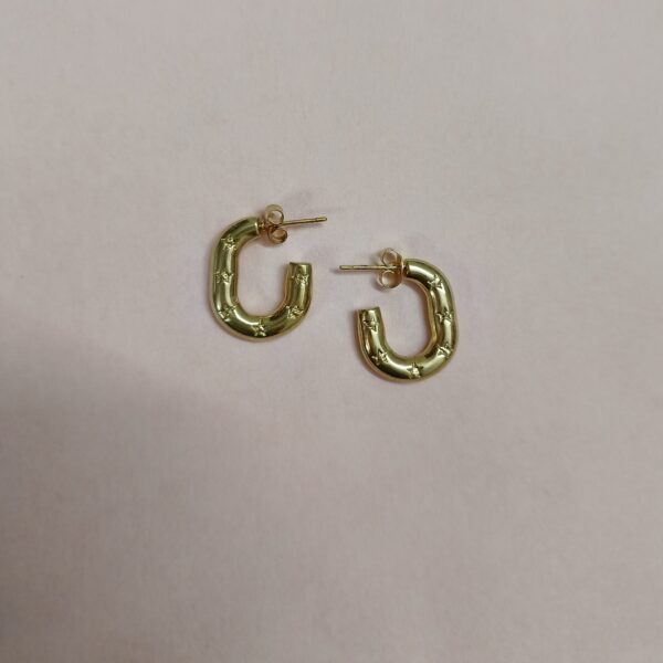 ANTI-TARNISH EARRING